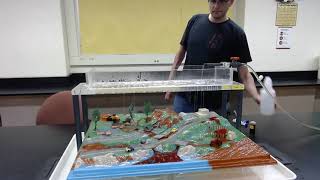 WATERSHED EXPERIMENT