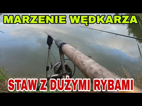 Wideo: Partner Wędkarski