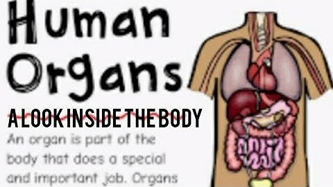 Environmental studies (part 1)STD:4 (Video 1) -  ch. no. 11- A look inside the body