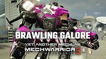 The ULTIMATE Brawler - Yet Another Mechwarrior 5: Mercenaries Modded Episode 71