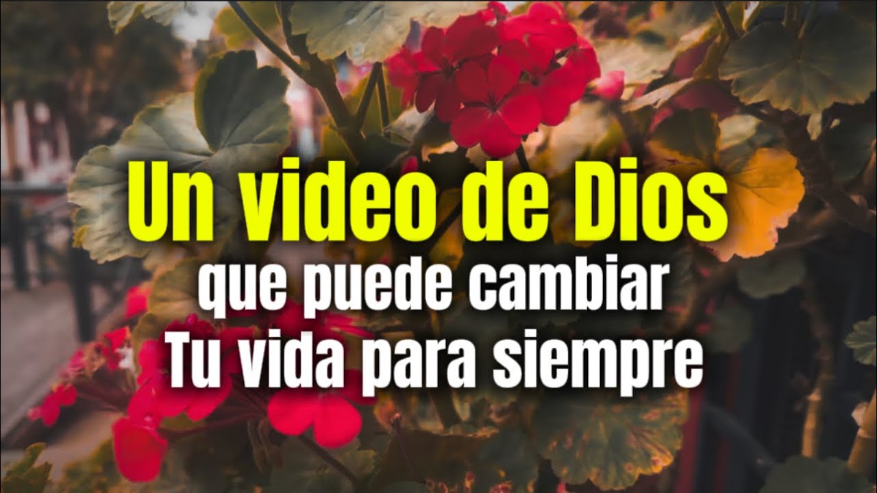 Un video de Dios que puede cambiar tu vida para siempre Dios te bendiga ...