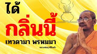 ได้กลิ่นนี้ เทวดามา พรหมมา  | หลวงพ่อฤาษีลิงดำ