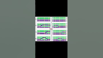 Linkage 201: 3-point gene mapping #education #genetics #science #biology