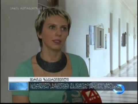 14 ივნისი - შშმპ უფლებების დაცვის დღე