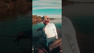 Achiga spinnerbait