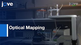 Optical Mapping: Action Potentials & Calcium Transients In Mouse Heart l Protocol Preview screenshot 2