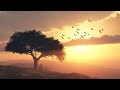 Beautiful romantic music relaxing music guitar music violin music cello music piano music 103