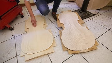 From Trees to Cellos, part 2 | Luthier Lessons