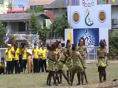 สีเขียว สีแดง สีเหลือง สีม่วง