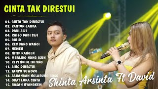 Shinta Arsinta Feat David Chandra FULL ALBUM TERBARU 2023💕 CINTA TAK DIRESTUI - PANTUN JANDA