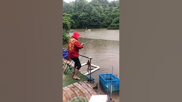 Câu cá châu Á tuyệt vời 🐟 Kỹ thuật câu cá hay nhất 🐟 #shorts