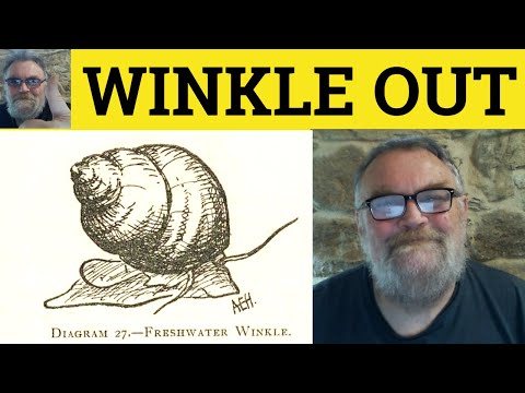 Video: Apa itu winkles di inggris?