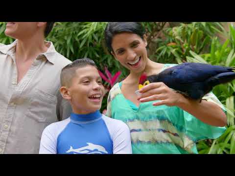 Discovery Cove | SeaWorld Orlando