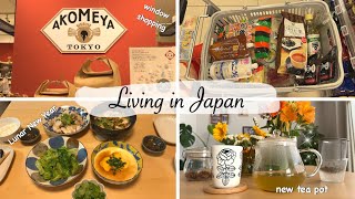 เดินช้อปปิ้งที่ AKOMEYA ทำอาหารเย็นเพื่อรำลึกถึงรากเหง้าของฉัน กาน้ำชาใหม่ | วิดีโอบล็อกของญี่ปุ่น