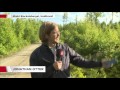 Försvunnen flicka hittad vid liv - Nyheterna (TV4)