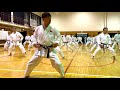 How to Use Your Pelvis and Hips【Naka Tatsuya's Budo Karate】
