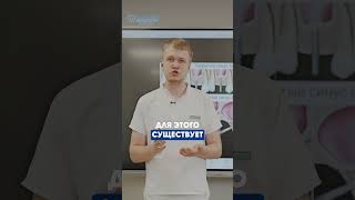 Мало кости? Есть решение!