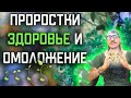 💥 Энергия жизни в проростках 🌱 здоровье и омоложение!