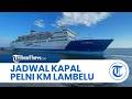 Jadwal Kapal Pelni KM Lambelu 23-30 Mei 2026 Terbaru: Makassar, Maumere, Larantuka