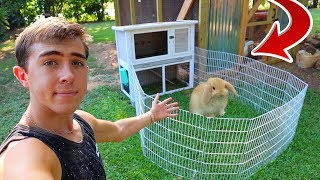 Building NEW Modern Bunny Mansion!!!