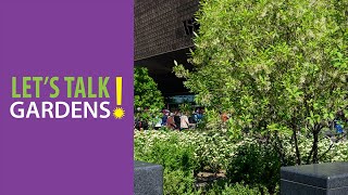 Prune with a Purpose: A Gardener’s Guide to Thinking Like an Arborist - Let's Talk Gardens Net Worth