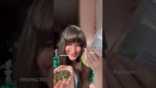 Тыквенные семечки гмо