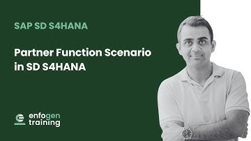 Partner Function business scenario in SD S/4 HANA