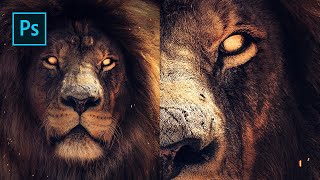 How to Create this Epic Lion in Photoshop screenshot 2