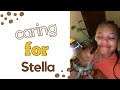 Taking care of my dog stella   erica elizabeth