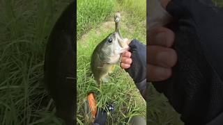 BIG BASS Caught on a WORM Lure!!(Quick Catch) Part 2