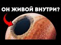 Юпитер управляет Солнечной системой