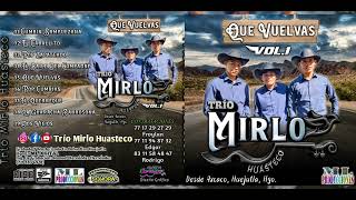 Trío Mirlo Huasteco De Axcaco Huejutla Hgo •|• VOL.1 QUE VUELVAS 2023 CD COMPLETO