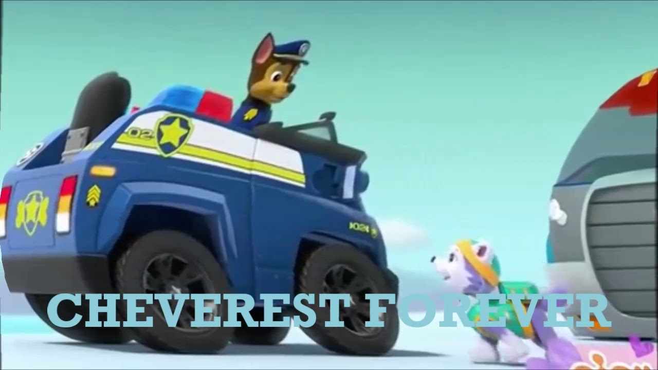 Paw Patrol Chase X Everest For Noah Jacobs Youtube 