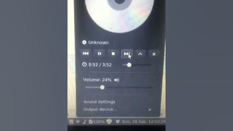 Strange Rhythmbox bug in Linux Mint 15 Cinnamon
