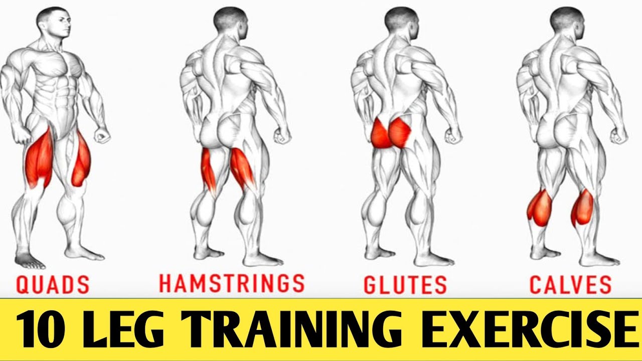 how to do leg training exercise..leg training exercise kaise kare 