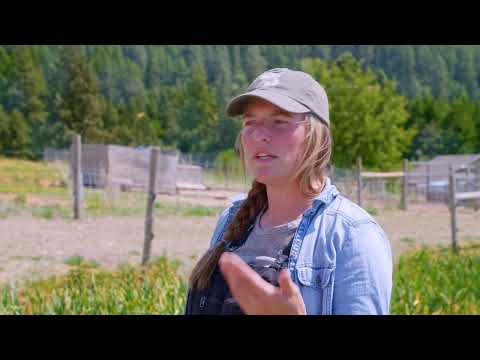 Community Supported Agriculture