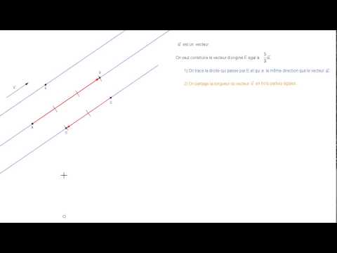 Construire le vecteur ku