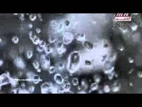 فيديو كليب حمزه عيسى يا حبوب  