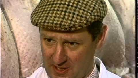 TURKEYS : salmonella