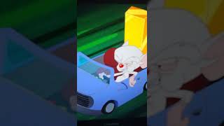 The Animaniacs Reboot Season 3 Of Pinky And The Brain Pinky The Den Bar