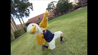 Simon Lumbus The Perth Mascot