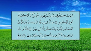 سورة غافر (الآية 1 ~ الآية 20) - ياسر بن راشد الدوسري
