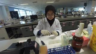 [ENG SUB] Haemoglobin Quantitation