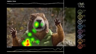 NeuroLab by CoolTool: Commercial Emotion Measurement Test. The best Neuromarketing research software screenshot 4