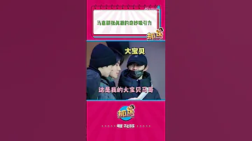TNT时代少年团 淡淡的马哥 微醺的张哥 柴犬组确实有着独特的魅力 马嘉祺 张真源 Tnt时代少年团 