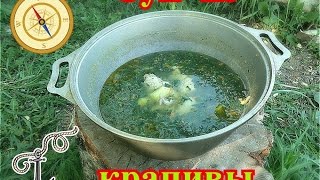 Суп из крапивы Суп из крапивы