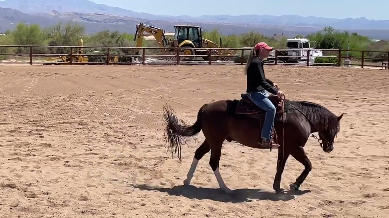 Don’t bottle those emotions release them!! Let your horse have an outlet while staying safe!