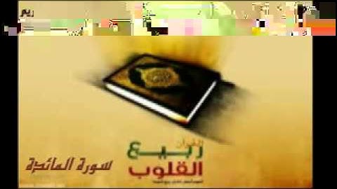 ‫سورة المائدة كامله بصوت الشيخ محمد عبد الكريم‬