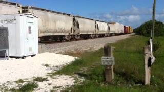 FEC TRAIN 202#246 WITH MARK AND TUG