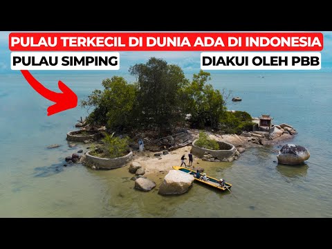 Video: 8 penipu yang hebat yang pernah dicatat dalam sejarah: Puteri Karabou, Kapten Köpenick, dll